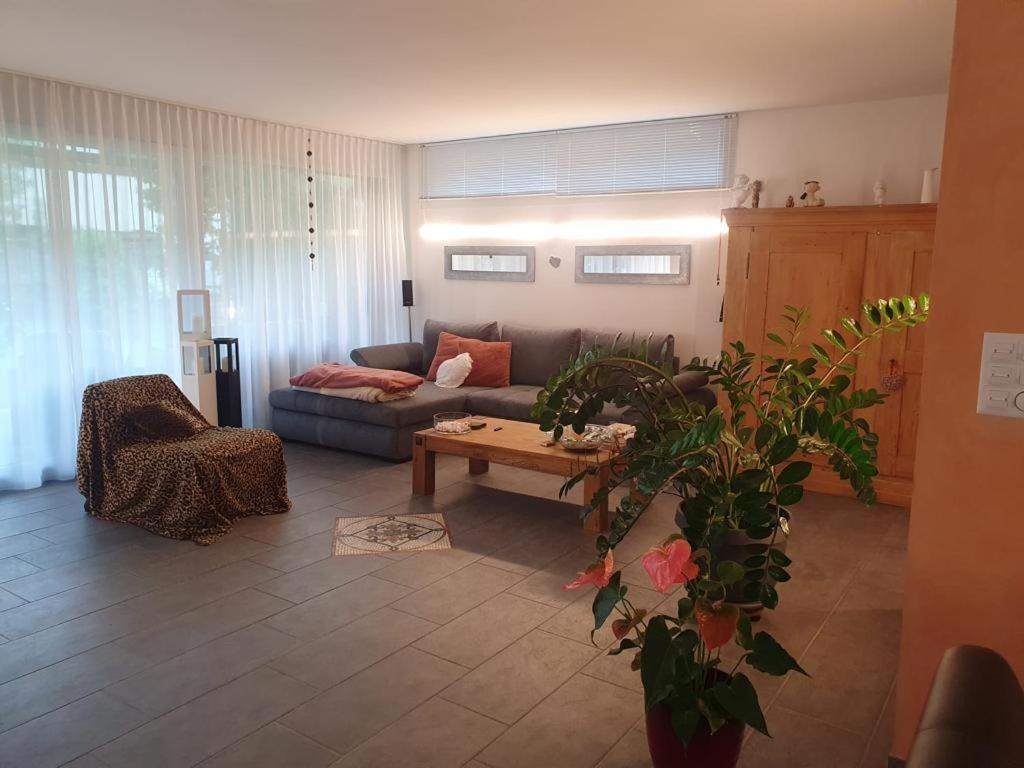 Casa Nadja, Naehe Skigebiet Flims-Lax Ems Екстер'єр фото