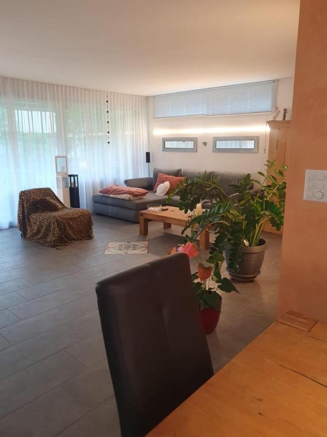 Casa Nadja, Naehe Skigebiet Flims-Lax Ems Екстер'єр фото